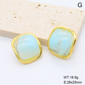6E4004676bbni-G038  316 Pin Resin  Stainless Steel Earrings