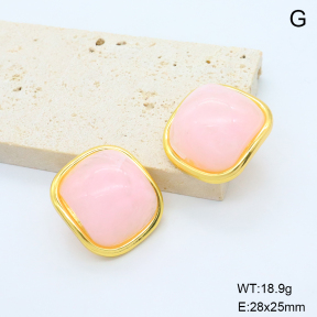 6E4004678bbni-G038  316 Pin Resin  Stainless Steel Earrings