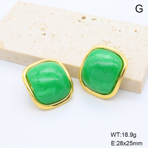 6E4004679bbni-G038  316 Pin Resin  Stainless Steel Earrings
