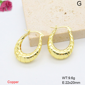 F6E200817ablb-L017  Fashion Copper Earrings