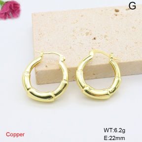 F6E200819ablb-L017  Fashion Copper Earrings