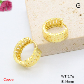 F6E200832avja-L017  Fashion Copper Earrings