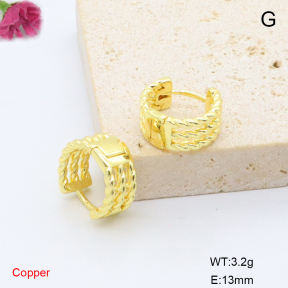 F6E200833avja-L017  Fashion Copper Earrings