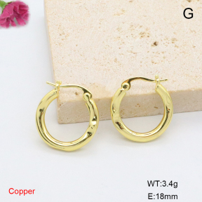 F6E200834avja-L017  Fashion Copper Earrings