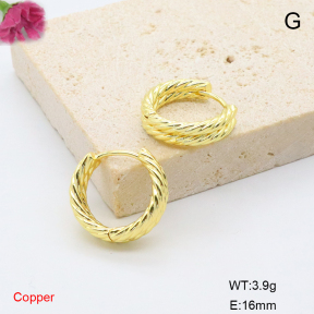 F6E200837avja-L017  Fashion Copper Earrings