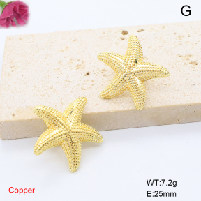 F6E200848ablb-L017  Fashion Copper Earrings