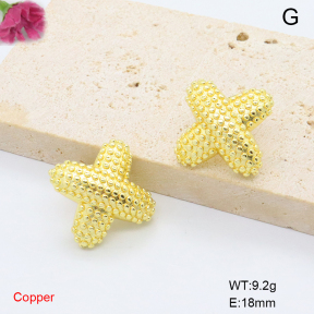 F6E200852ablb-L017  Fashion Copper Earrings