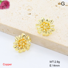 F6E200854baka-L017  Fashion Copper Earrings