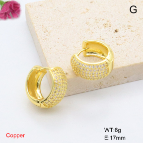 F6E405853bbov-L017  Fashion Copper Earrings