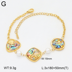 2B3004413vhhl-434  Stainless Steel Bracelet