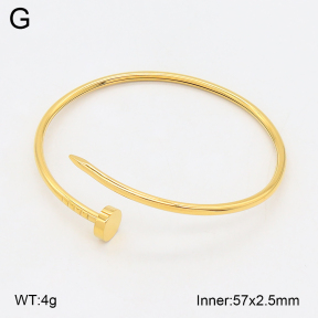 2BA202519vhha-328  Stainless Steel Bangle