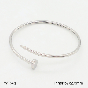 2BA202520vbpb-328  Stainless Steel Bangle