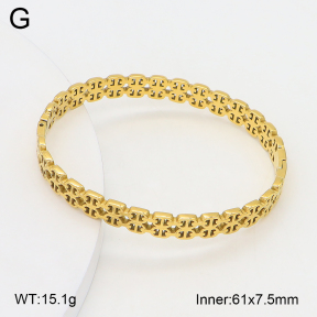 2BA202521ahjb-328  Stainless Steel Bangle