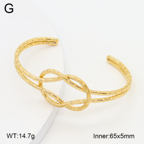 2BA202523vbnl-434  Stainless Steel Bangle