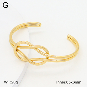 2BA202524vbnl-434  Stainless Steel Bangle