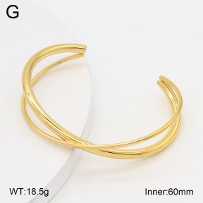 2BA202528vbnl-434  Stainless Steel Bangle