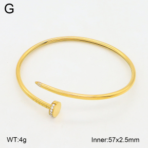 2BA402705vhmv-328  Stainless Steel Bangle