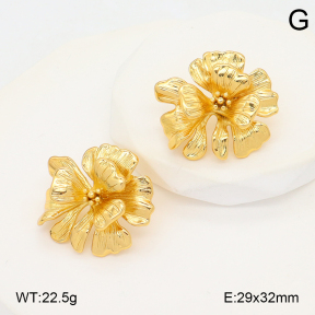 2E2006683vbmb-434  Stainless Steel Earrings