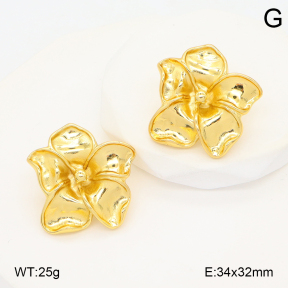 2E2006684vbmb-434  Stainless Steel Earrings