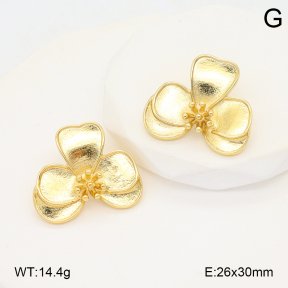 2E2006685vbmb-434  Stainless Steel Earrings