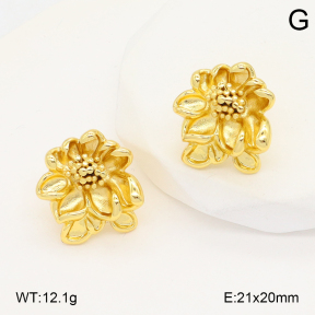 2E2006686vbmb-434  Stainless Steel Earrings