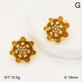 2E2006687vbmb-434  Stainless Steel Earrings