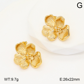 2E2006688vbmb-434  Stainless Steel Earrings