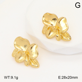 2E2006689vbmb-434  Stainless Steel Earrings