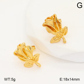 2E2006690vbmb-434  Stainless Steel Earrings