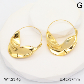 2E2006691bbov-434  Stainless Steel Earrings