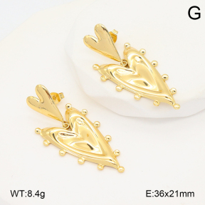 2E2006692vbll-434  Stainless Steel Earrings