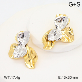 2E2006694vbmb-434  Stainless Steel Earrings