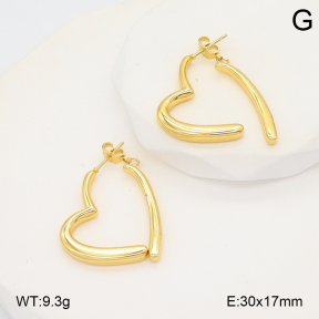 2E2006695vbll-434  Stainless Steel Earrings