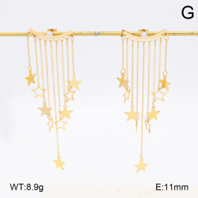 2E2006697bbov-434  Stainless Steel Earrings