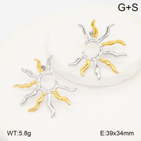 2E2006698vbmb-434  Stainless Steel Earrings