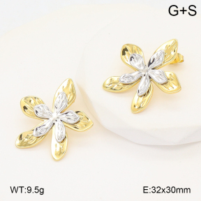 2E2006699vbmb-434  Stainless Steel Earrings