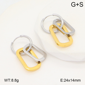 2E2006701bbov-434  Stainless Steel Earrings