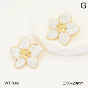 2E3003943baka-434  Stainless Steel Earrings