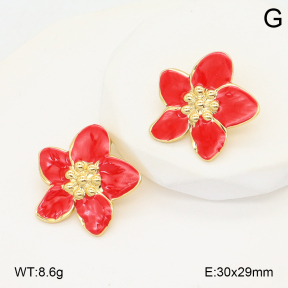 2E3003944baka-434  Stainless Steel Earrings