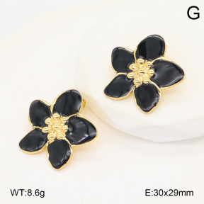 2E3003945baka-434  Stainless Steel Earrings