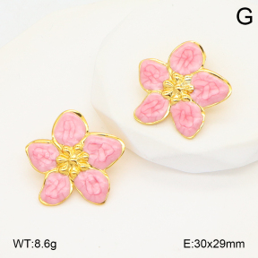 2E3003946baka-434  Stainless Steel Earrings