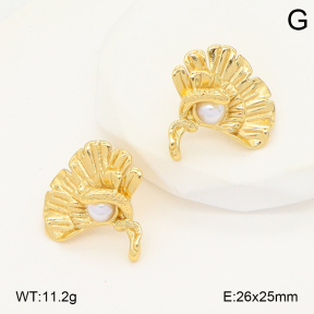 2E3003948vbnl-434  Stainless Steel Earrings