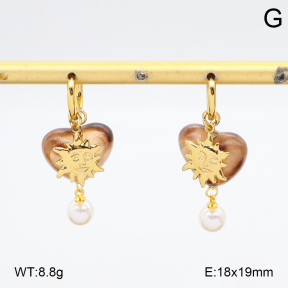 2E3003950vbmb-434  Stainless Steel Earrings