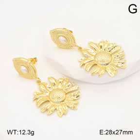 2E3003951ablb-434  Stainless Steel Earrings