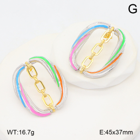 2E3003953vhha-434  Stainless Steel Earrings