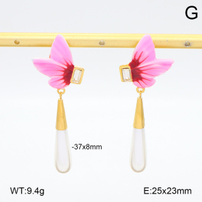 2E3003954vhha-434  Stainless Steel Earrings