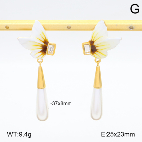 2E3003955vhha-434  Stainless Steel Earrings