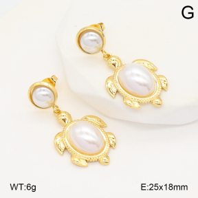 2E3003957vbll-434  Stainless Steel Earrings