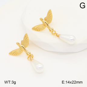 2E3003958aakl-434  Stainless Steel Earrings