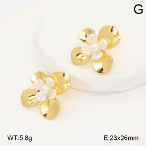 2E3003959vbmb-434  Stainless Steel Earrings